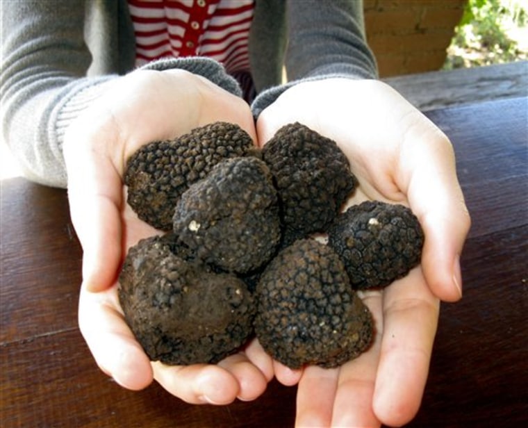 After cleaning a handful of truffles found in August 2010 in Amelia, Italy, some were used for a pasta dish and some were put in olive oil for the trip back home.
